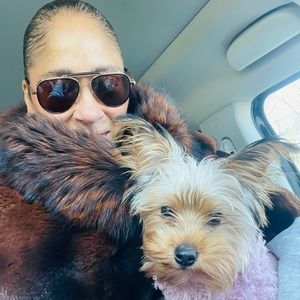 Meet your Posher, Robin